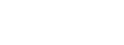 Calcio Logo